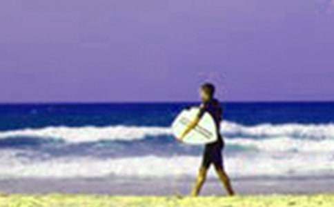 �����Ͷ��ĵ����