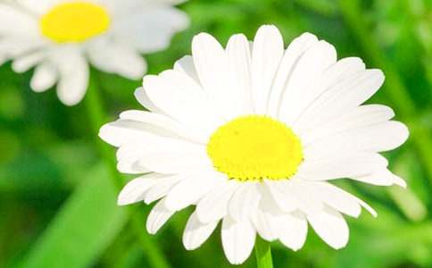 �ջ�װ�������ȴ�������˵��İ�����