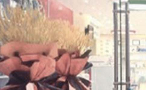 ��ҵ��ʽ���뺯