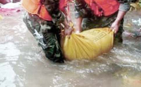 ��������ĵ���ᣨͨ��17ƪ��