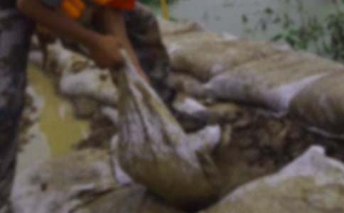 �����л��