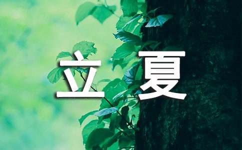 立夏文案40句
