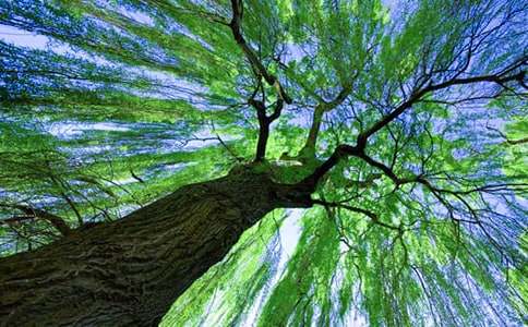 ���������̰����������ͨ��5ƪ��