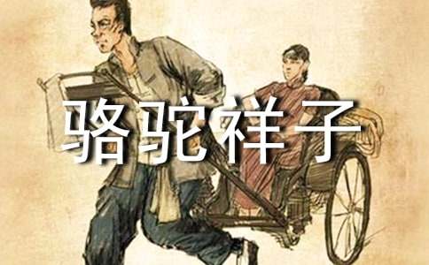 最新《骆驼祥子》读书感想范文