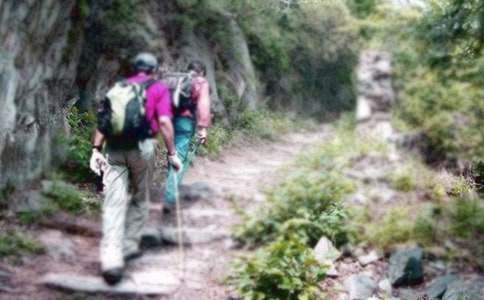 ����ɽ���Ľš����θ塾ʵ�á�