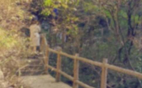 爬山虎的脚教学设计