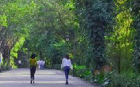 ��ɽ���ĽŽ�ѧ���(ͨ��15ƪ)