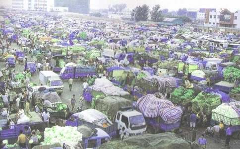 ������ͬ���Ļ��5ƪ