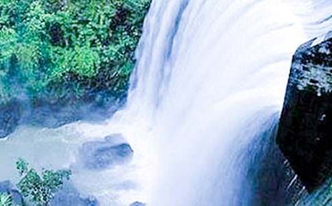 �������ٲ������