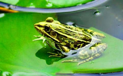 �а�����С�����������̰�����ѡ10ƪ��