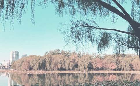 С���＾��ͨ��ȫ����̰�����ѡ12ƪ��