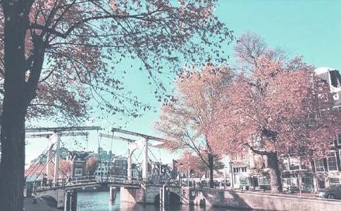 �＾С�๤���ƻ������ƪ