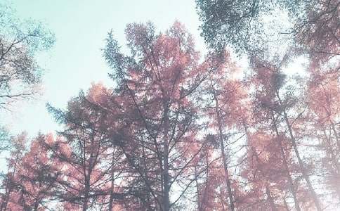 �＾�㲥�壨ͨ��20ƪ��