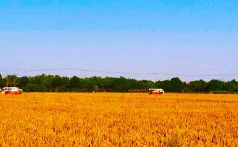 �����ĵø���