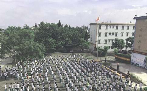 ���Сѧɢѧ���񽲻���