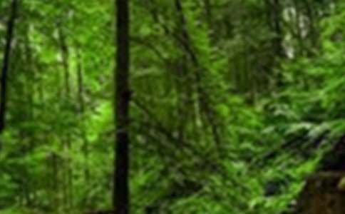 森林草原防灭火家访心得体会