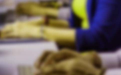 ��������ʵϰ����15ƪ