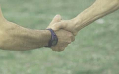 ���������ĵ����͸���ʵ��