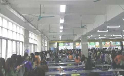 ʳ������ܽᣨ��ѡ20ƪ��