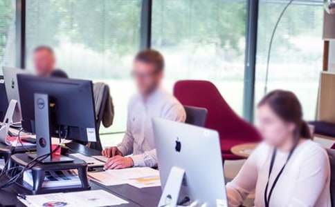 园艺专业实习总结(通用8篇)