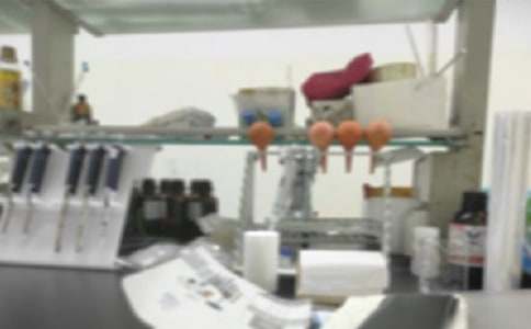 第一学期生物实验室工作总结