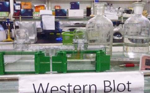 ʵ���ҵ��ĵ���᷶��