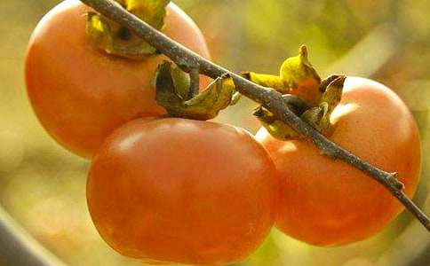 �＾�����ӵ�����˵˵ �ֵ��˳����Ӽ��ڵ��İ�