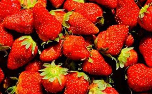 小班艺术活动方案水果