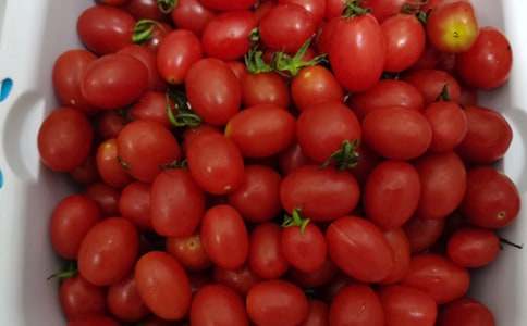 ����ˮ��ɳ���ܼ�