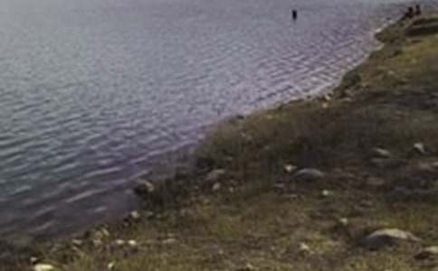 ˮ����ȿ��˸����ܽ�11ƪ