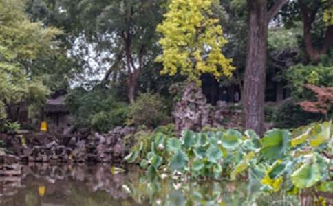 ������԰�֡���ѧ���(15ƪ)