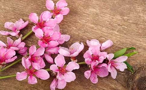 �һ�������300��4ƪ