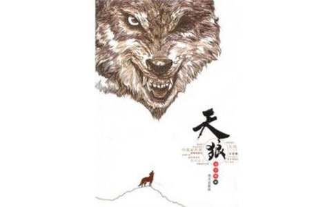 ���Ƕ����12ƪ