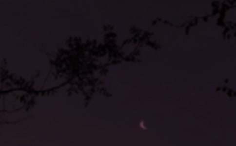 ���������İ�����ѡ40�䣩