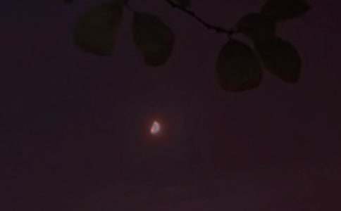 常用温馨晚安文案(通用130句)