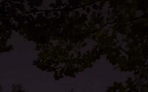 ������������ף���ͨ��135�䣩