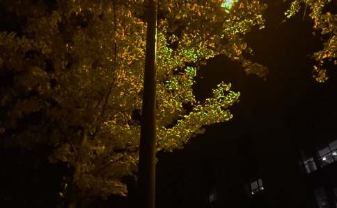 ������־����ף�����ȫ����ѡ65�䣩