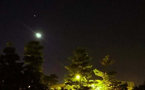 ����ů�������İ�75��