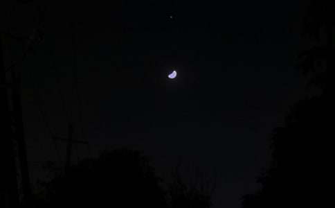 ��������ף����95��