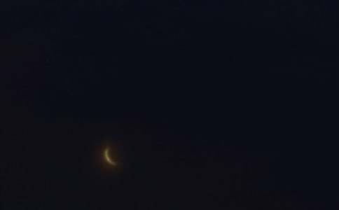 ������������İ����ܣ���ѡ115�䣩