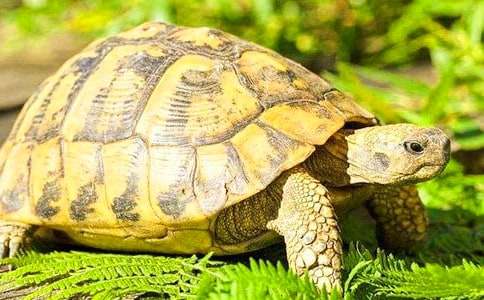 �ҵĳ����ڹ����ļ���9ƪ