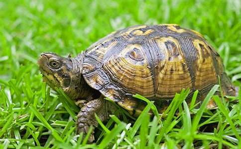 С�������̰����ڹ�