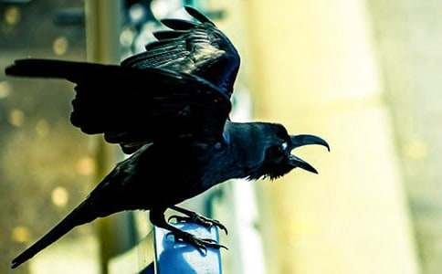 [�ϼ�]����ѻ��ˮ�����θ�