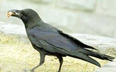 ����ѻ��ˮ�����θ����㡾13ƪ��