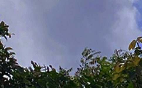 ���ڸ����簲�İ�����ѡ40�䣩