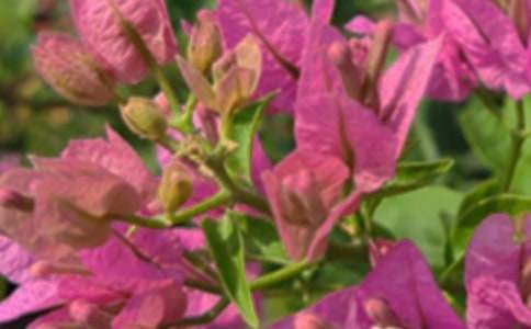 关于暖心午安文案(通用100句)