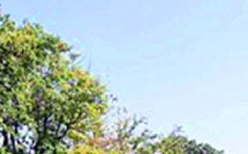 温馨午安文案50句精选