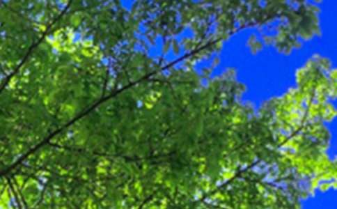 ��ܰ�簲ף����70��