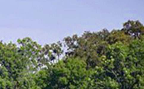 �����簲ף�����ȫ����ѡ80�䣩