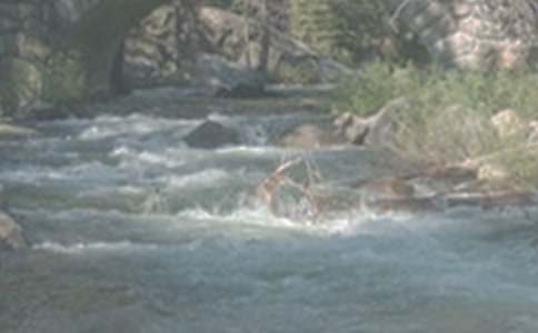 ��СϪ���ĸ衷�̰����